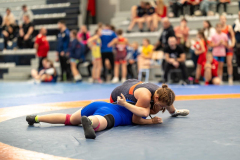 Velika-stavka-IMG_3128