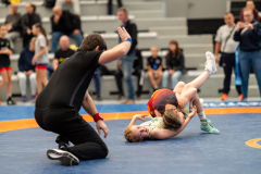 Velika-stavka-IMG_3148