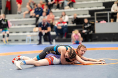 Velika-stavka-IMG_3177