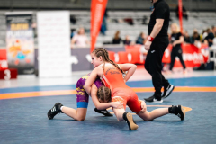 Velika-stavka-IMG_3207