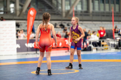 Velika-stavka-IMG_3210