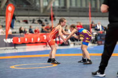 Velika-stavka-IMG_3211