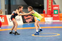 Velika-stavka-IMG_3231