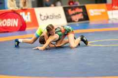 Velika-stavka-IMG_3235