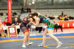 Velika-stavka-IMG_3254