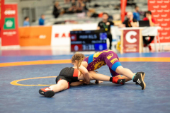 Velika-stavka-IMG_3260