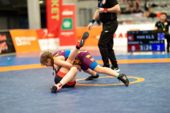 Velika-stavka-IMG_3265