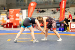 Velika-stavka-IMG_3274