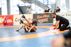 Velika-stavka-IMG_3311