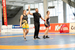 Velika-stavka-IMG_3313