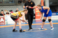 Velika-stavka-IMG_3348