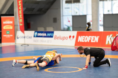 Velika-stavka-IMG_3367