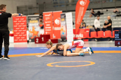 Velika-stavka-IMG_3373