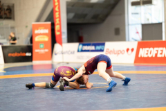 Velika-stavka-IMG_3388