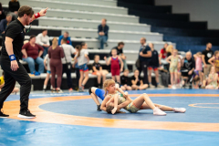 Velika-stavka-IMG_3480