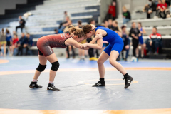 Velika-stavka-IMG_3507