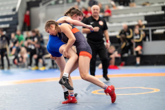 Velika-stavka-IMG_3530