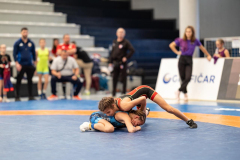 Velika-stavka-IMG_3579