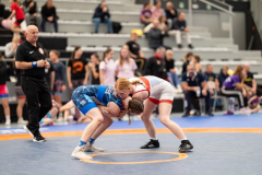 Velika-stavka-IMG_3597