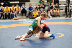 Velika-stavka-IMG_3614