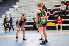 Velika-stavka-IMG_3710