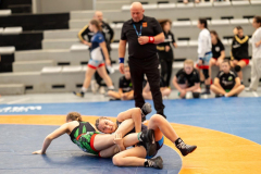 Velika-stavka-IMG_3769