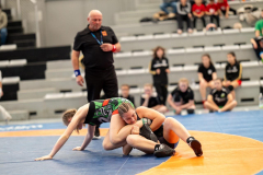 Velika-stavka-IMG_3777