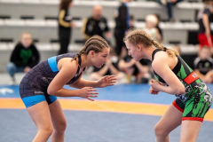 Velika-stavka-IMG_3829