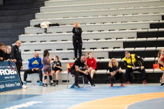 Velika-stavka-IMG_3900