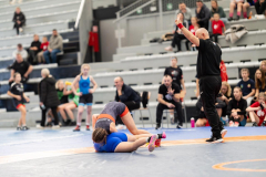 Velika-stavka-IMG_3955