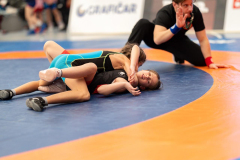 Velika-stavka-IMG_4045