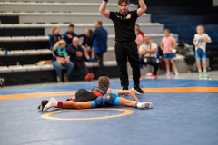 Velika-stavka-IMG_4063