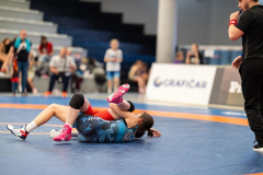 Velika-stavka-IMG_4102