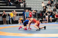 Velika-stavka-IMG_4215