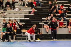 Velika-stavka-IMG_4246