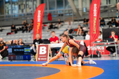 Velika-stavka-IMG_4377