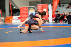 Velika-stavka-IMG_4419