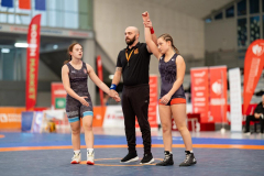 Velika-stavka-IMG_4423