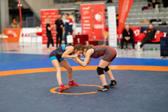 Velika-stavka-IMG_4479