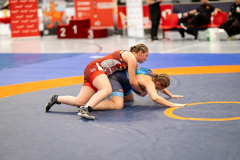 Velika-stavka-IMG_4789